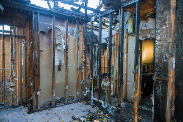 Professional Fire Damage Removal technician working in Homeland, GA